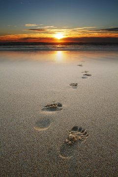 Footprints In Sand At Beach