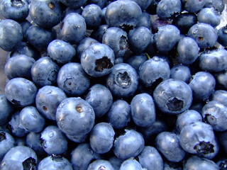 Blueberries
