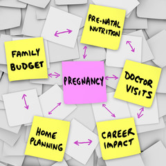 Pregnancy Concerns Expecting Mothers Parents Sticky Notes