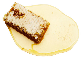 Piece of honeycomb on honey