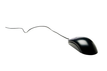 One computer mouse