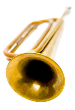 Close-up of bugle