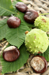 Chestnuts with leaves on wicker background