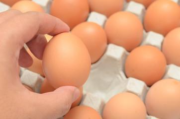 Hand select egg in carton