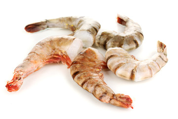 Prawns isolated on white
