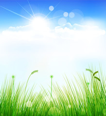 Fototapeta na wymiar vector background with a blue sky, grass and sun
