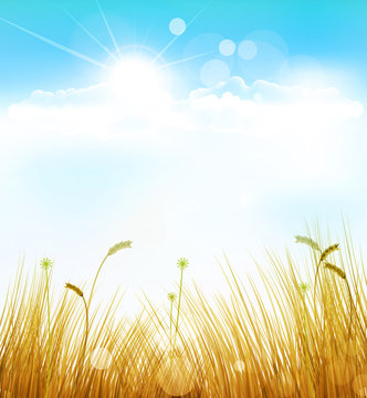 vector autumn background with grass and blue sky