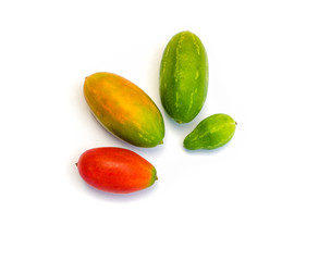 fruits of Coccinia grandis (Cucurbitaceae)