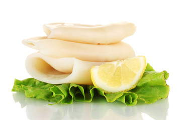 boiled squids with lettuce and lemon isolated on white