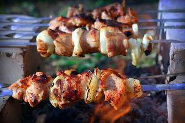 Shish kebab