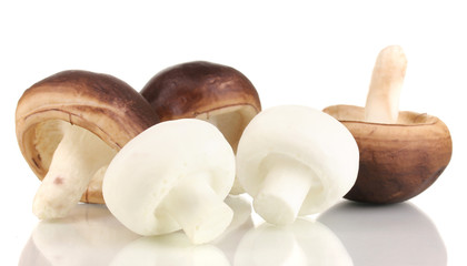Fresh mushrooms isolated on white