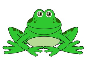 Mr. Frog