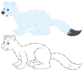 Ermine