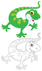 Lizard