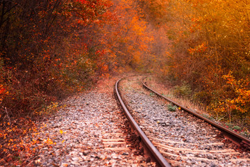 Railway in the autumn forest - 46845161