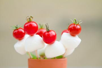 brochettes de tomates cerises et mozarelle
