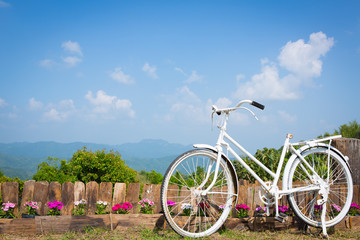 Wihte Bicycle and flower  with blue sky