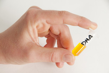 Dna Chemistry Scientific research