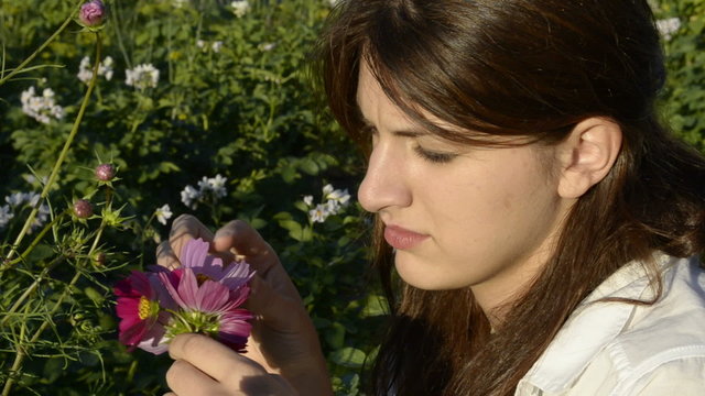 Young woman plucks petals cosmos