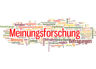 Meinungsforschung