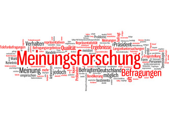 Meinungsforschung (Marktforschung, Meinung)