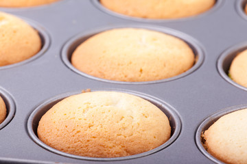 cupcakes in tray