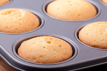 cooked cupcakes in tray