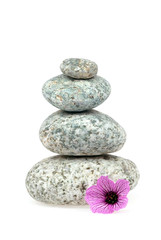 Pile of stones isolated on white background with a flower
