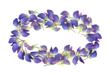 Fototapeta na wymiar Frame made of beautiful lupine flower petals