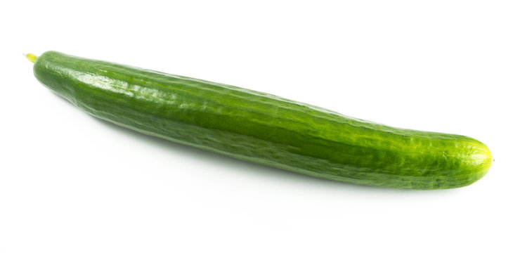 Cucumber