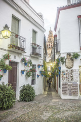 Fototapeta na wymiar Flower Alley w Cordoba - Hiszpania