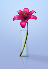 Pink flower - transparent jar - 46859308
