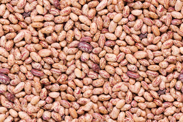 seamless texture of haricot beans