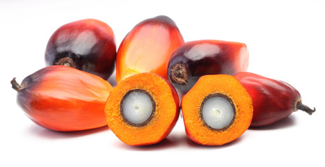 Oil palm fruit