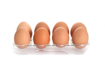 chicken eggs