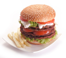 Burger and french fries