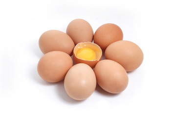 chicken eggs