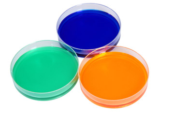 Colorful fluid in dishes for laboratory use