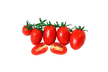 A branch of fresh ripe tomatoes