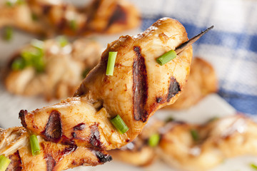 Roasted Chicken Kebab