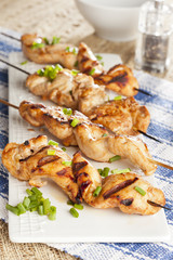 Roasted Chicken Kebab