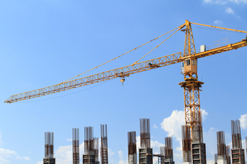 Fototapeta premium Crane, Construction Site.