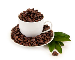 Fototapeta premium cup with coffee beans