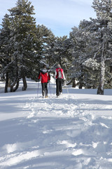 Couple cross-country skiing through woods