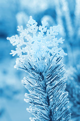 Decorative snowflake on top of the tree Winterhoof