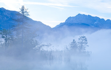 mountains in early morning fog