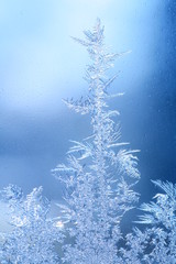 ice frost window