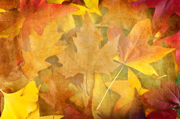 leaves background