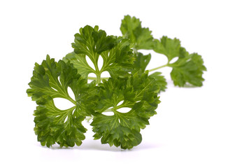Parsley isolated on white background close-up