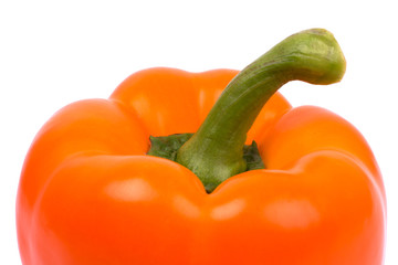 Orange bell pepper closeup on white
